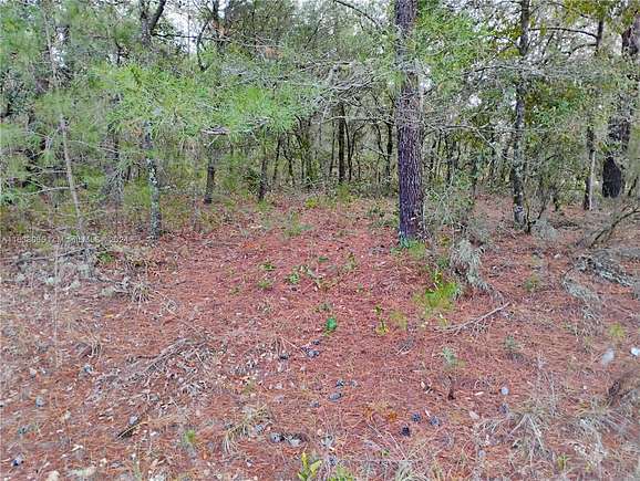 0.22 Acres of Residential Land for Sale in Palatka, Florida