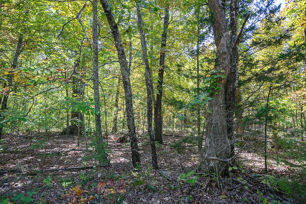 0.31 Acres of Residential Land for Sale in Horseshoe Bend, Arkansas