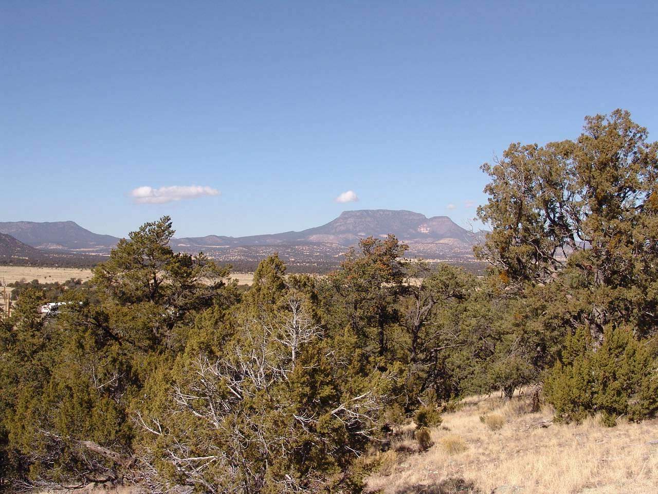 10.13 Acres of Land for Sale in Datil, New Mexico