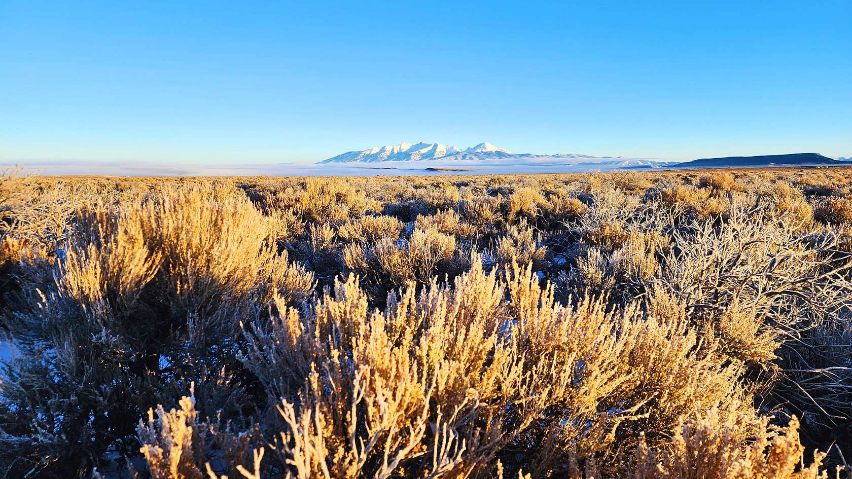 5 Acres of Residential Land for Sale in San Luis, Colorado