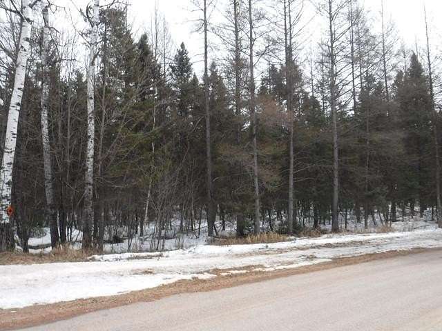 40 Acres of Recreational Land for Sale in Bradley Town, Wisconsin