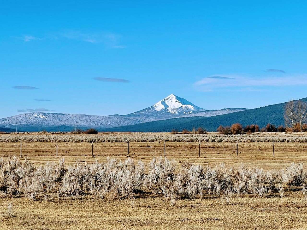 303.58 Acres of Agricultural Land with Home for Sale in Chiloquin, Oregon