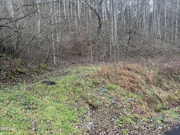 8 Acres of Residential Land for Sale in Roan Mountain, Tennessee