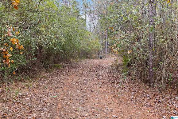 20 Acres of Land for Sale in Bessemer, Alabama