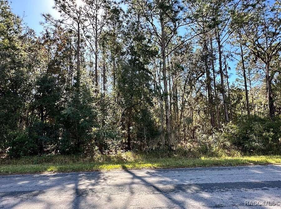 1.02 Acres of Land for Sale in Hernando, Florida