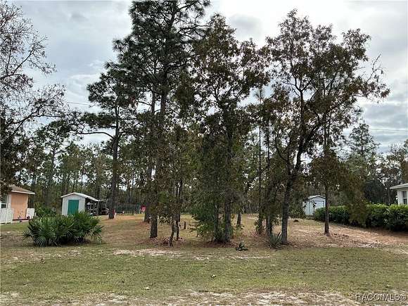 0.23 Acres of Residential Land for Sale in Citrus Springs, Florida