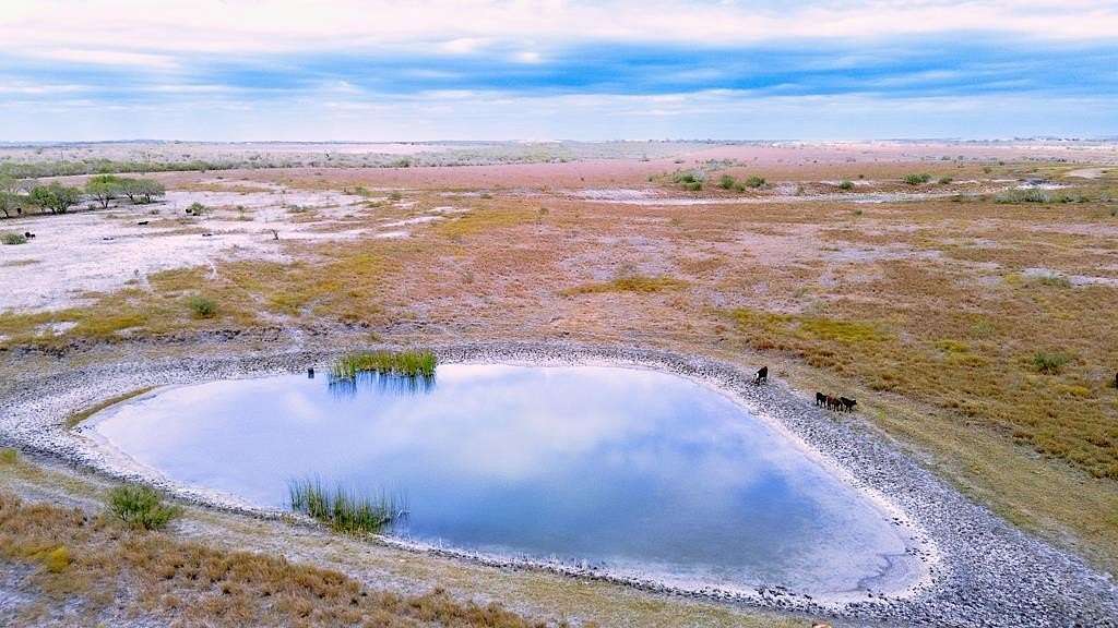 291 Acres of Land with Home for Sale in Karnes City, Texas