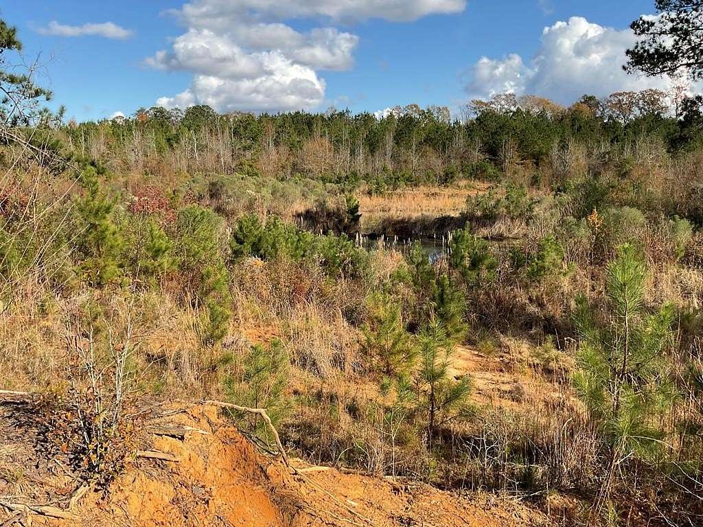 45.17 Acres of Recreational Land for Sale in Georgiana, Alabama