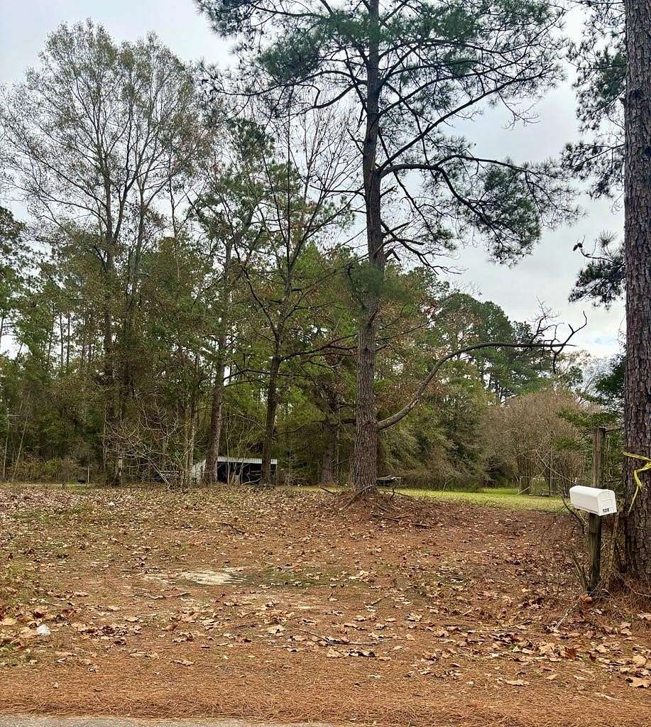 1 Acre of Residential Land for Sale in Picayune, Mississippi