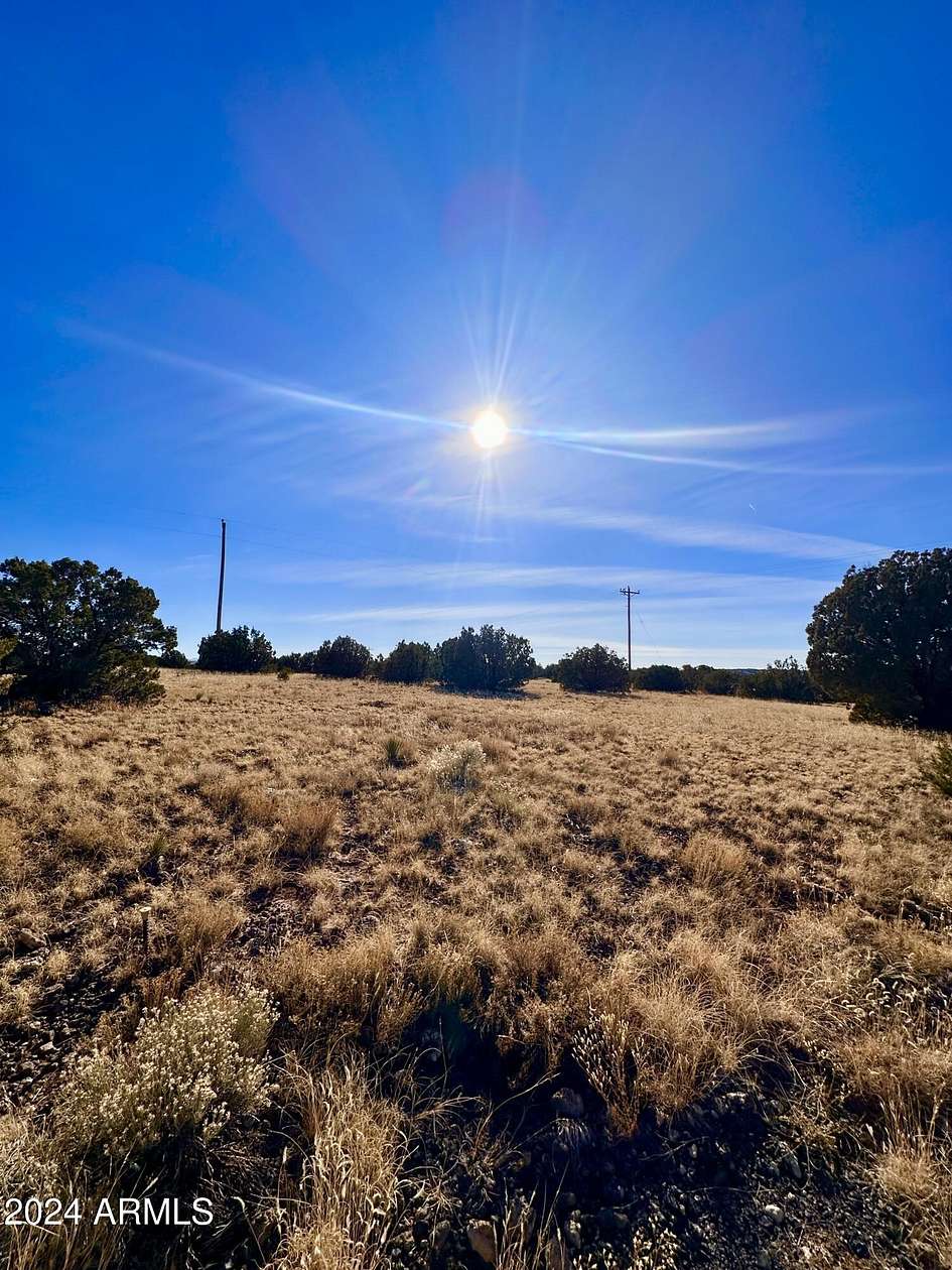 0.31 Acres of Residential Land for Sale in Concho, Arizona