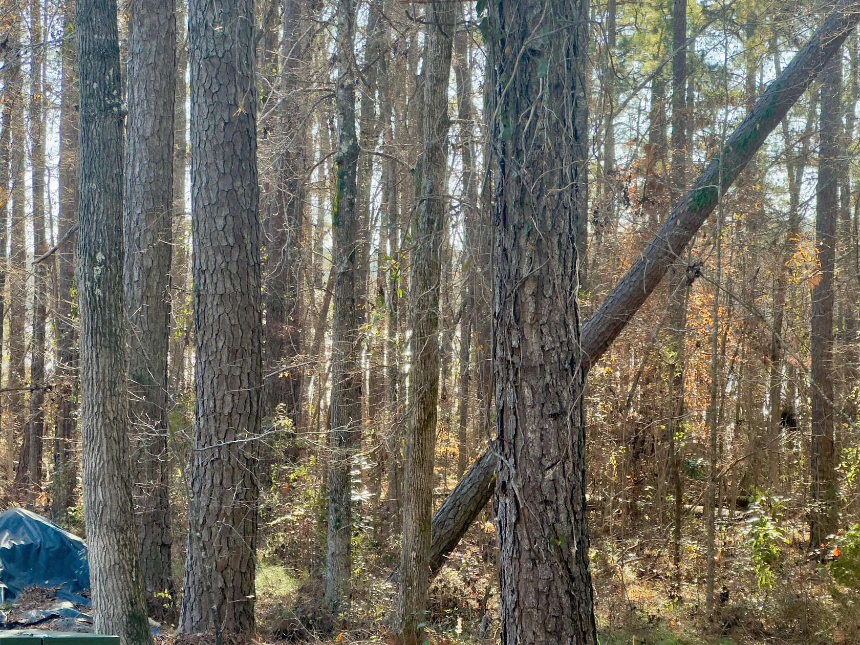 0.65 Acres of Land for Sale in McCormick, South Carolina