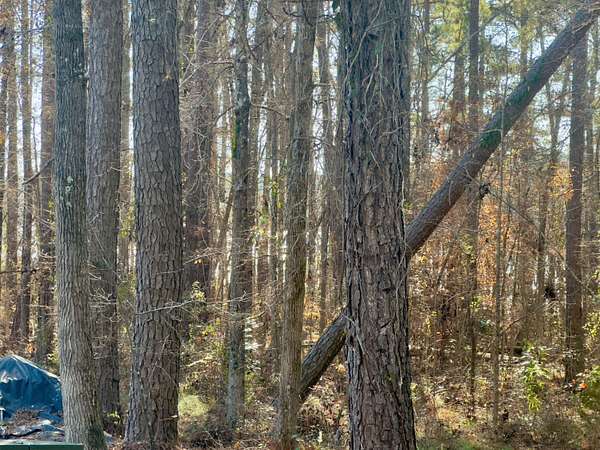 0.65 Acres of Land for Sale in McCormick, South Carolina