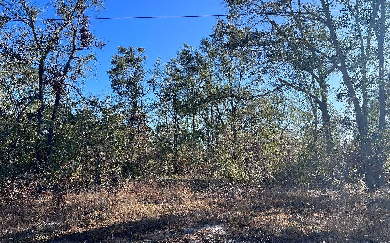 2.02 Acres of Residential Land for Sale in Lee, Florida