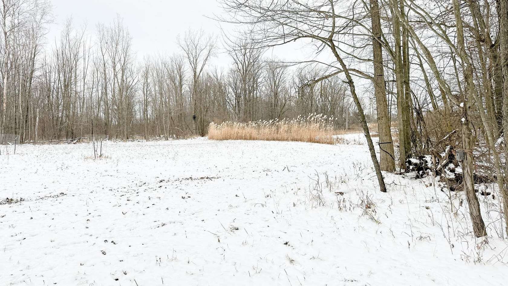 35 Acres of Recreational Land for Sale in Bunker Hill, Michigan