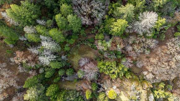 21.5 Acres of Recreational Land for Sale in Willits, California