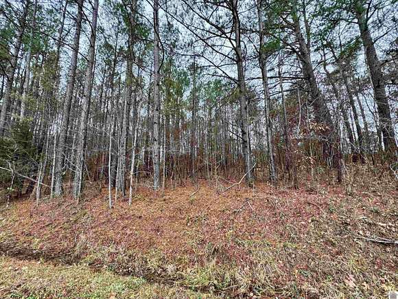 0.95 Acres of Residential Land for Sale in Hardin, Kentucky