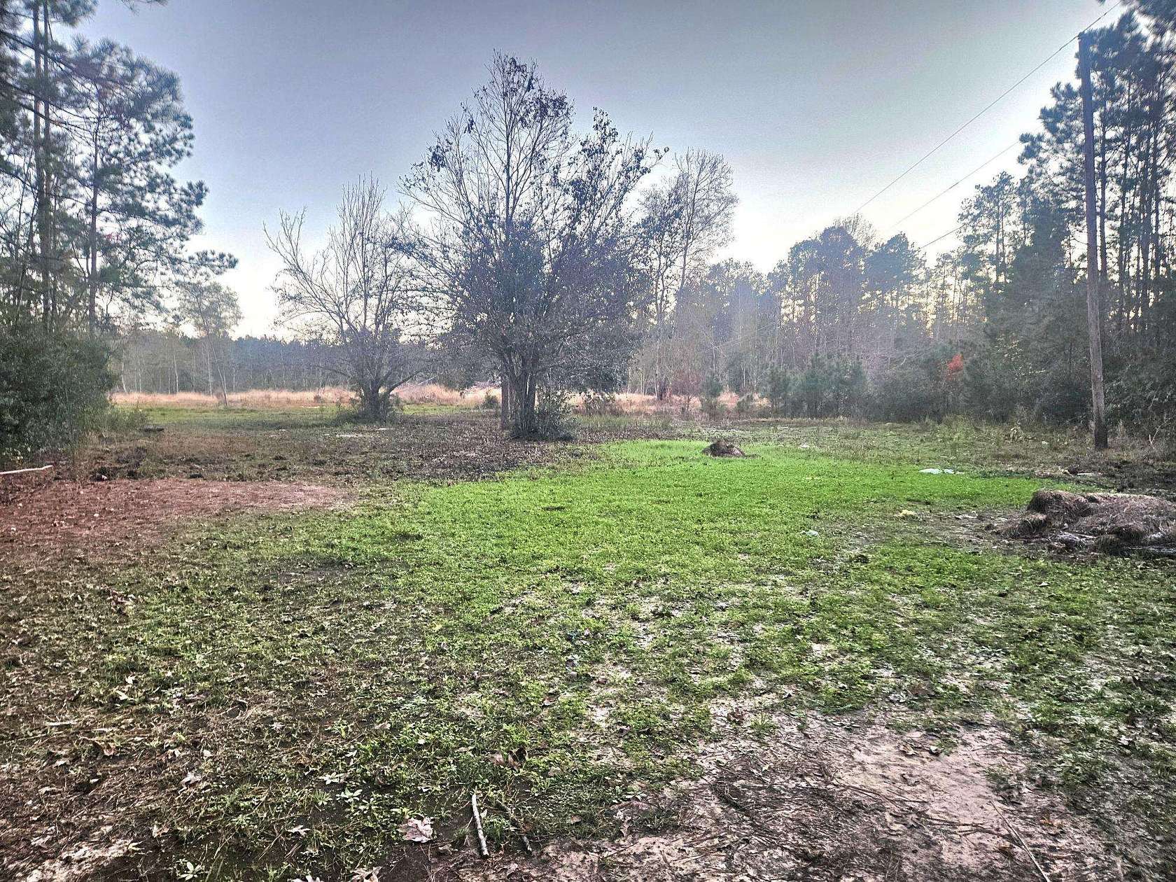 14 Acres of Land for Sale in Kountze, Texas