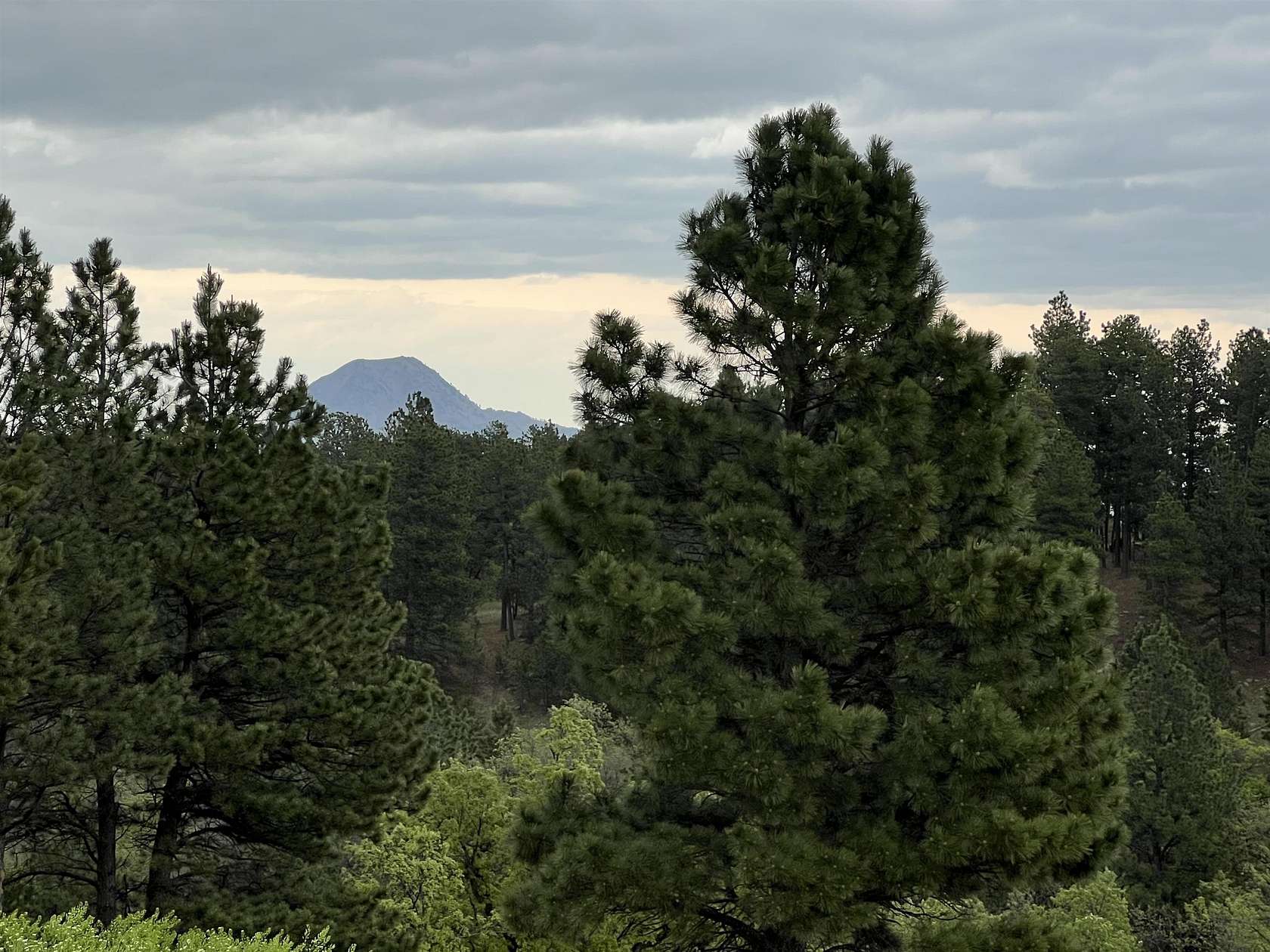 5.7 Acres of Residential Land for Sale in Whitewood, South Dakota