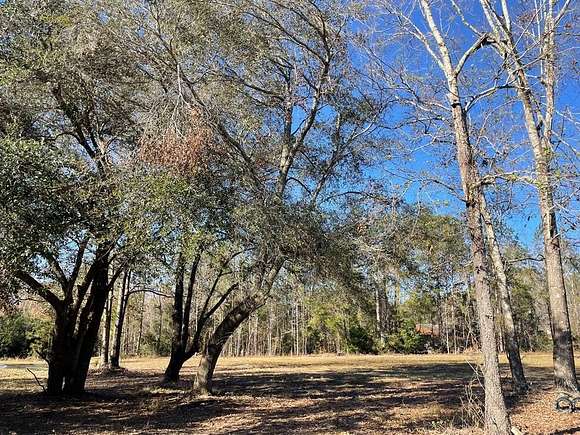 3 Acres of Residential Land for Sale in Glennville, Georgia