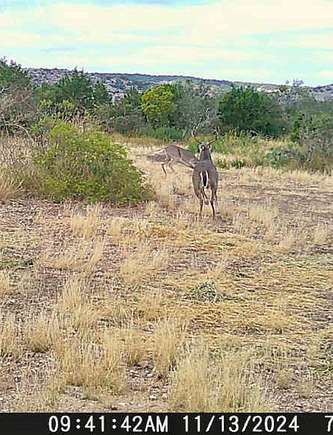 1,398 Acres of Land for Sale in Rocksprings, Texas