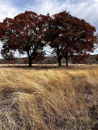 10.01 Acres of Land for Sale in Indian Gap, Texas