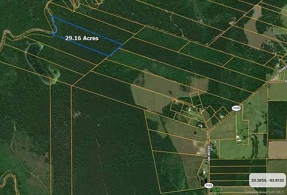 Land for Sale in Basile, Louisiana