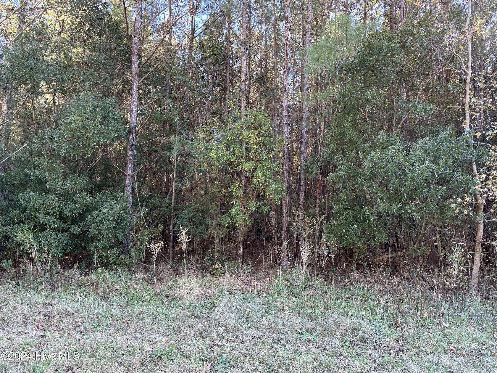 2.46 Acres of Land for Sale in Aurora, North Carolina