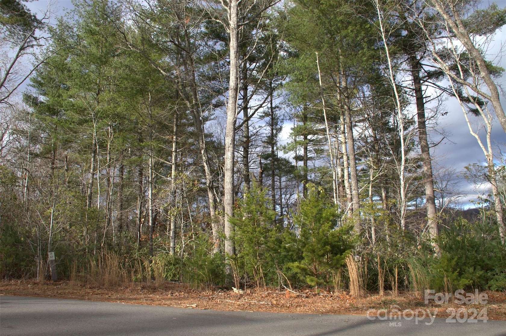 0.87 Acres of Residential Land for Sale in Asheville, North Carolina