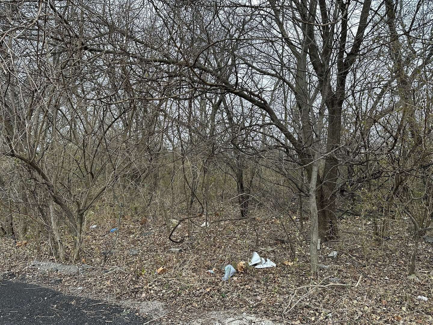 0.26 Acres of Residential Land for Sale in Lockport, Illinois