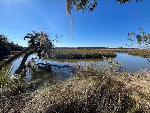 0.78 Acres of Residential Land for Sale in Townsend, Georgia