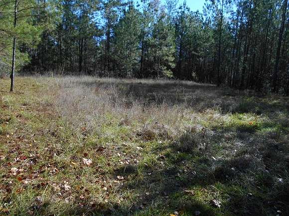 22.4 Acres of Recreational Land for Sale in New Hebron, Mississippi