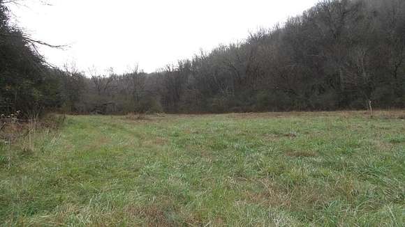 90.93 Acres of Land for Sale in Gainesboro, Tennessee