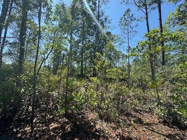 0.13 Acres of Residential Land for Sale in Pierson, Florida