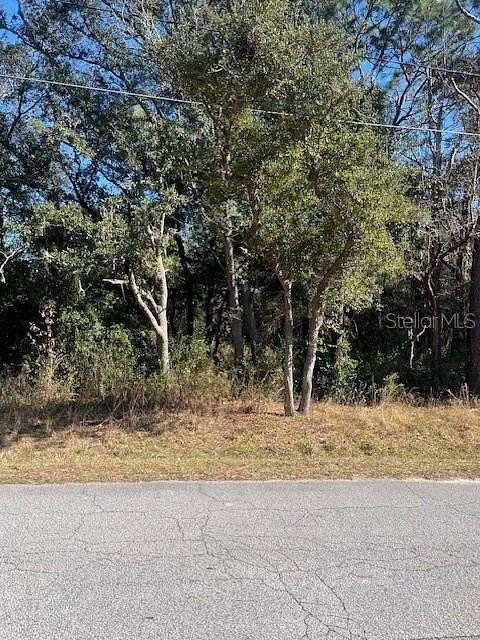 0.26 Acres of Residential Land for Sale in Belleview, Florida