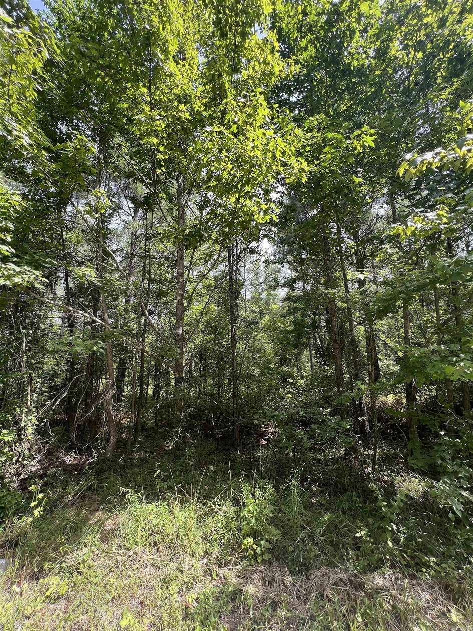 20 Acres of Land for Sale in Sheridan, Arkansas