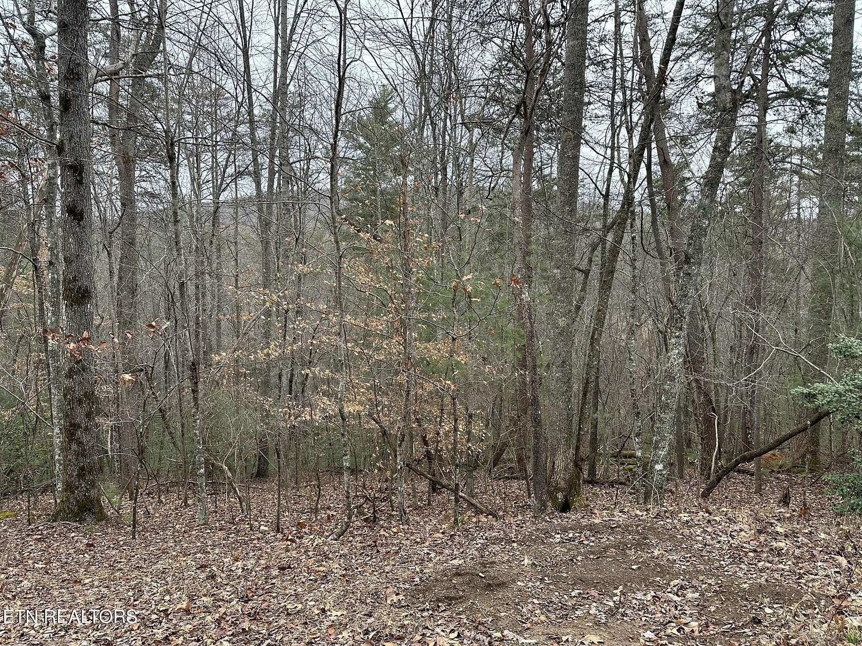 0.66 Acres of Residential Land for Sale in Fairfield Glade, Tennessee