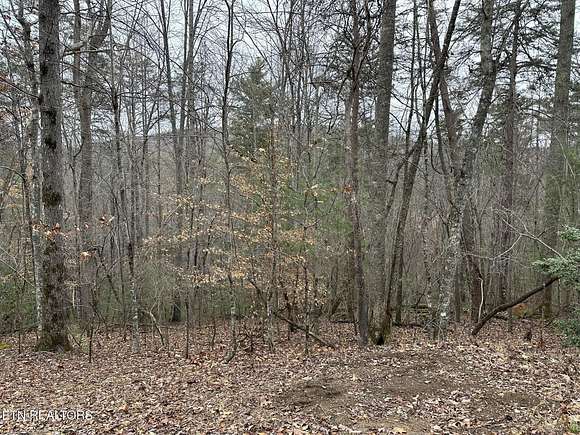 0.66 Acres of Residential Land for Sale in Fairfield Glade, Tennessee