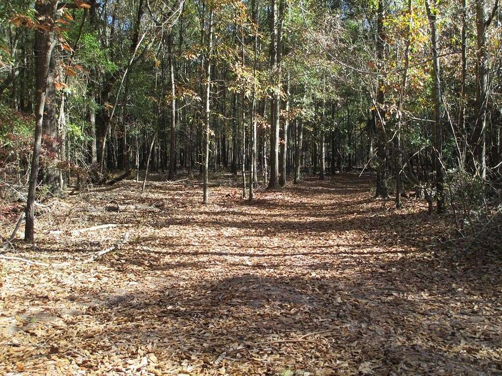 9.113 Acres of Land for Sale in Americus, Georgia