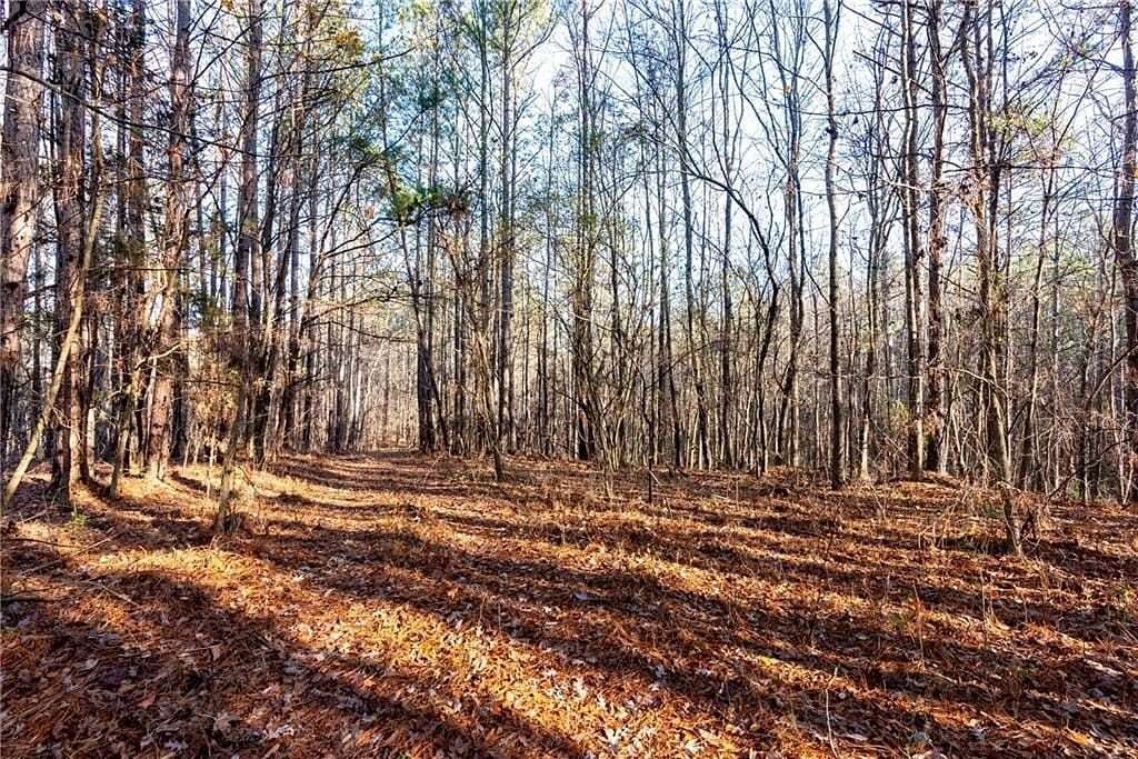 29 Acres of Recreational Land for Sale in White, Georgia