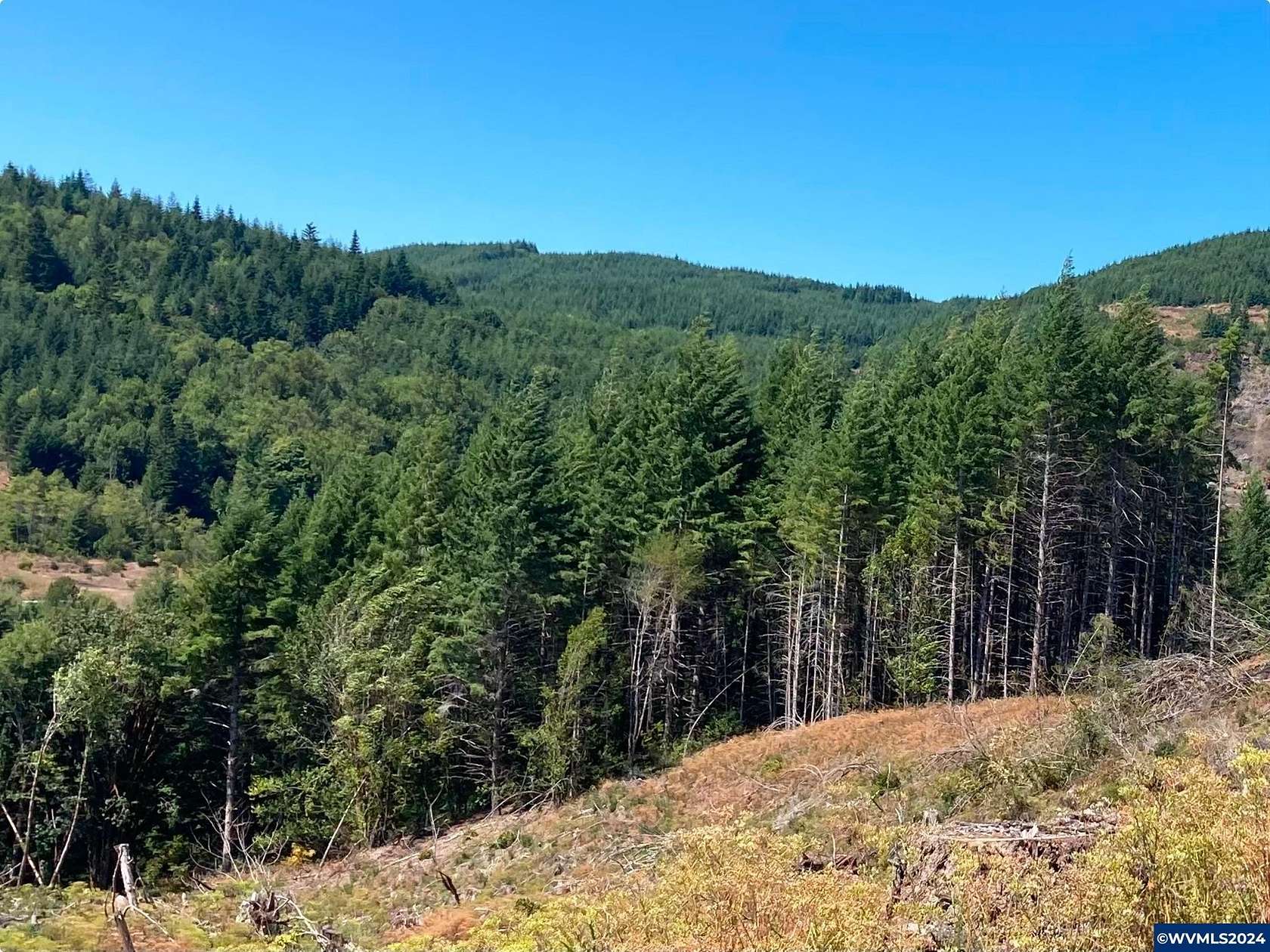 1 Acre of Land for Sale in Coquille, Oregon