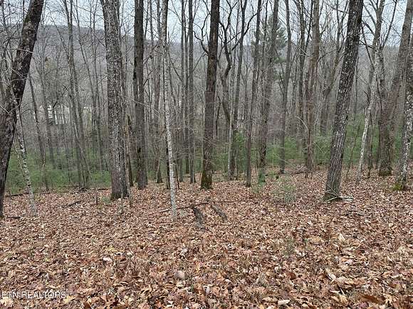 0.73 Acres of Residential Land for Sale in Fairfield Glade, Tennessee