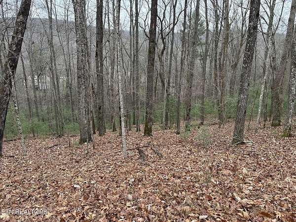 0.73 Acres of Land for Sale in Fairfield Glade, Tennessee