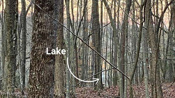 1 Acre of Land for Sale in Jacksboro, Tennessee