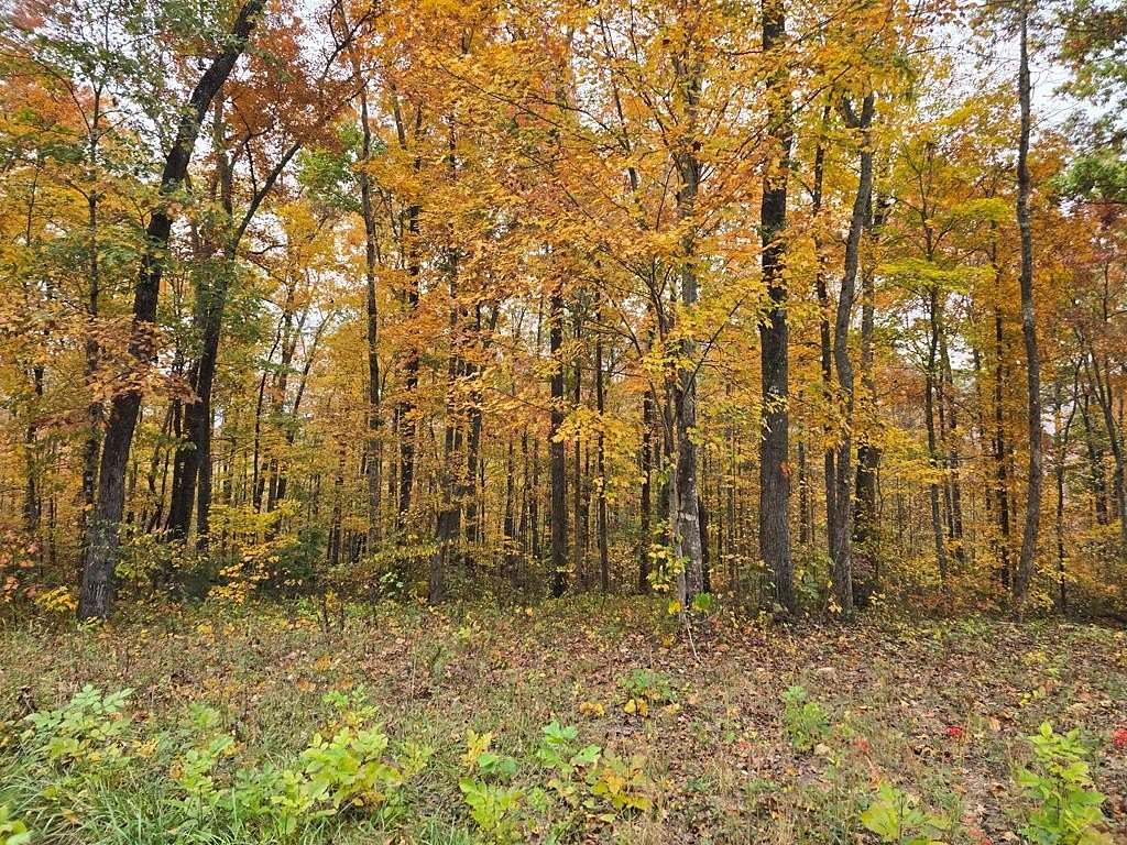 10 Acres of Residential Land for Sale in Robbins, Tennessee