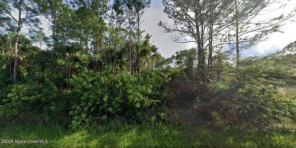 0.23 Acres of Residential Land for Sale in Palm Bay, Florida