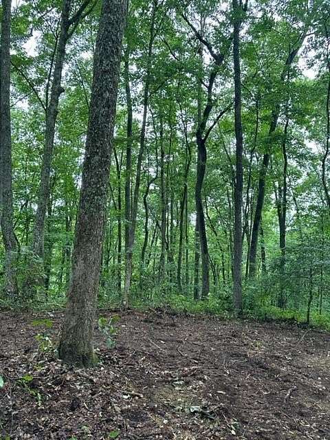 5.87 Acres of Land for Sale in Wilder, Tennessee