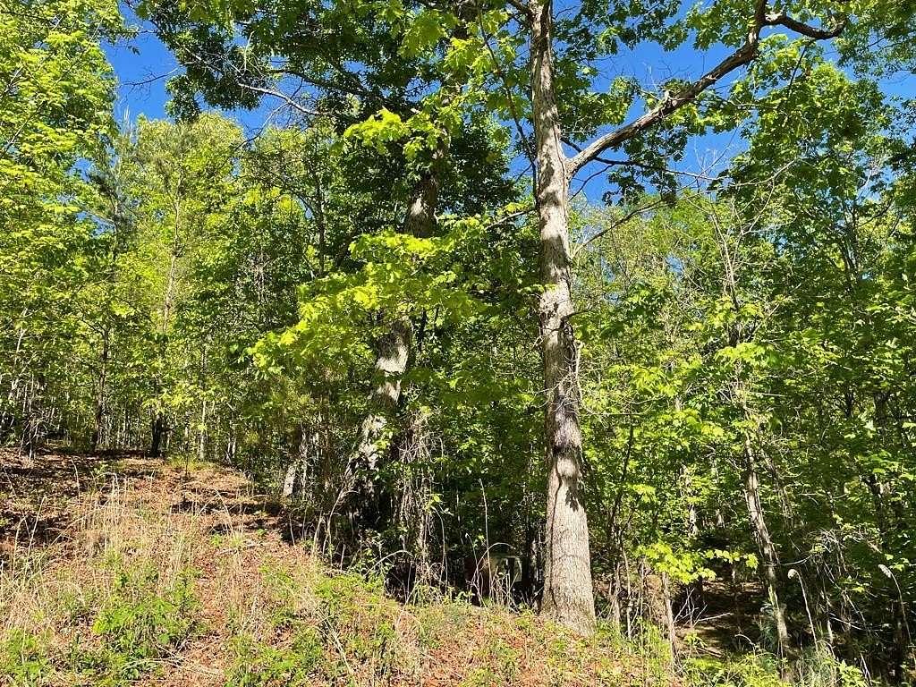 1.71 Acres of Residential Land for Sale in Hayesville, North Carolina