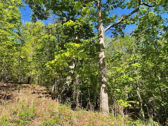 1.71 Acres of Residential Land for Sale in Hayesville, North Carolina