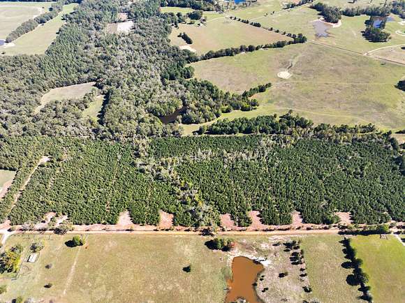 11 Acres of Recreational Land for Sale in Long Branch, Texas