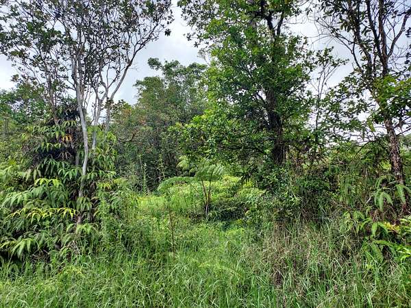 0.28 Acres of Residential Land for Sale in Volcano, Hawaii